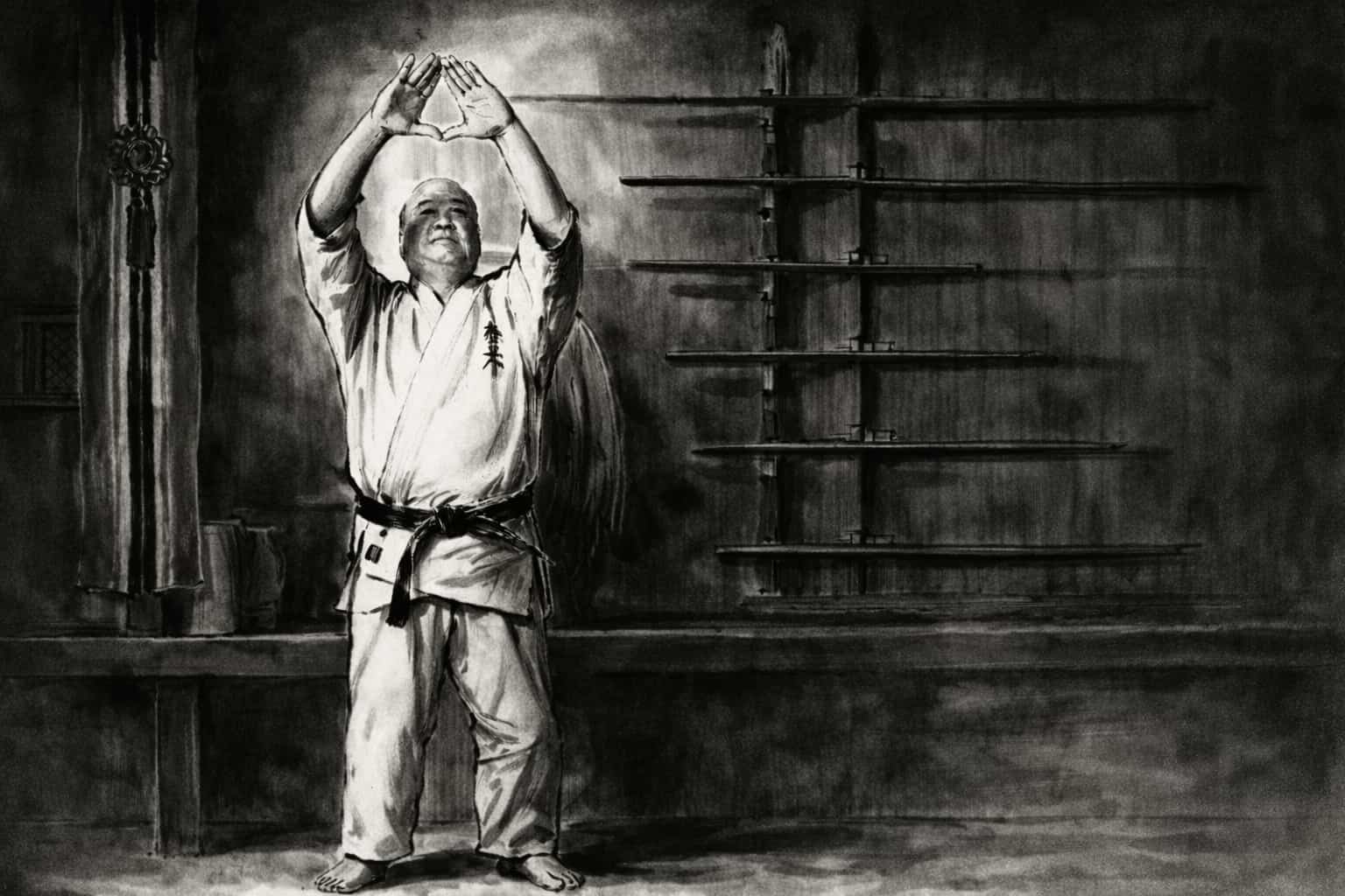 Kyokushinkai emblem illustration